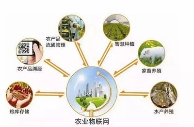 鄉(xiāng)村規(guī)劃設(shè)計丨中國農(nóng)業(yè)十大戰(zhàn)略布局 風(fēng)口、獨(dú)角獸與投資熱點(diǎn)深度解析
